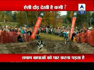 Wife-carrying competition held in America