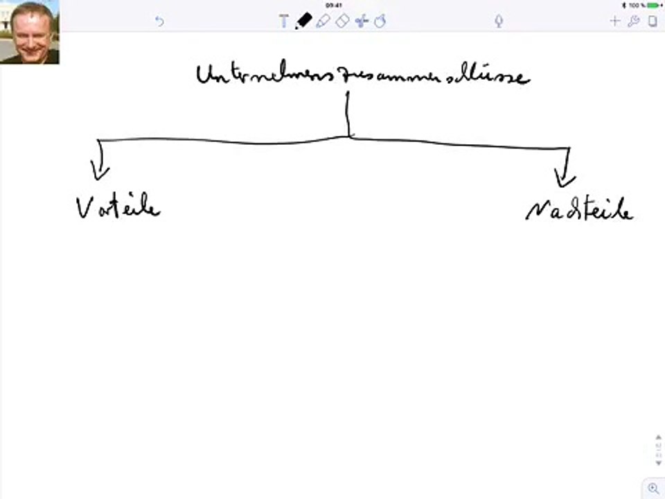Fusionen, Vor u Nachteile