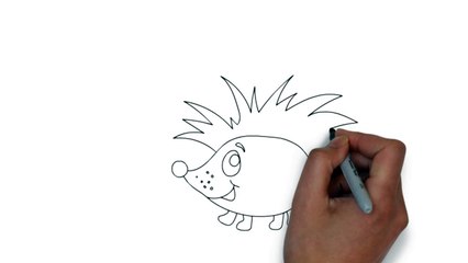 Рисуем и раскрашиваем Ёжика в VideoScribe