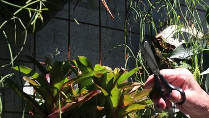 Transformou casa a cair de podre num pequeno palácio e o resultado é fantástico