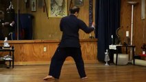 Yue Chia Hsing San (Yue Chia Form Three) - Michigan Shaolin Wugong Temple