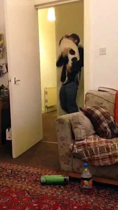 Admirez ce moment très touchant où un chien secouru retrouve enfin l'homme qui lui a sauvé la vie.