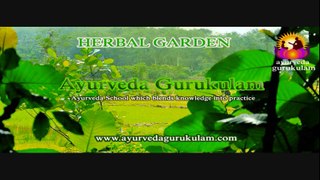 Ayurvedic Medicinal Plants Farming | Ayurveda Gurukulam, Kerala