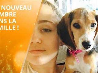 Liam Hemsworth et Miley Cyrus, la famille s'agrandit !