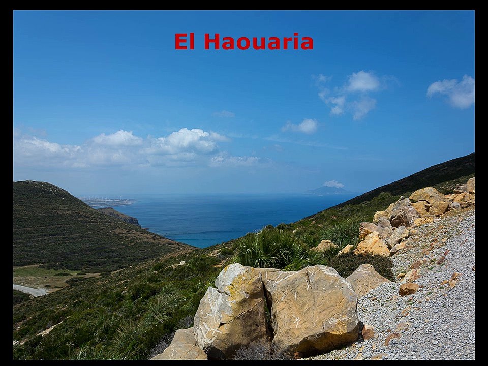 El Haouaria - région cap bon - Kebilia - www.envie-de-tunisie.com
