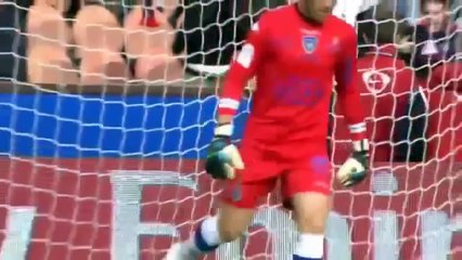 Zlatan Ibrahimovic   Bastia 4-0 But 17 10 2013