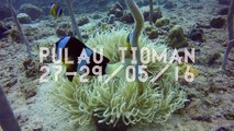 27-29/05/16 Pulau Tioman Scuba Diving