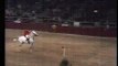 Horse Breaking A World Record By Jumping Over 7 And A Half Feet