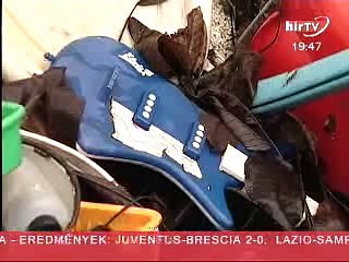 Keresztmetszet @ Szalacsi Sándor