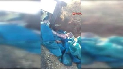 Tekirdağ Takla Atan Minibüsten 1.5 Ton Kaçak Et Çıktı