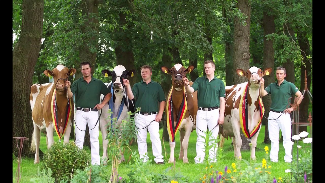 RH Talent Maxima EX-94