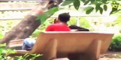 College Students Romance And Kissing Video in Public Park