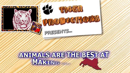 Funny video Animals are the best at making us laugh - Funny animal compilation