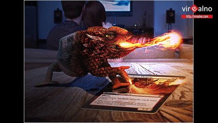 Photoshoped animals. IT's AMAZING!!!