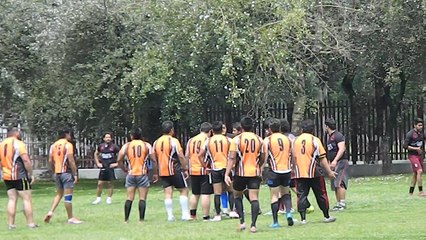 OSOS NEGROS RFC