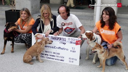 Los perros podrán viajar en el Metro de Madrid