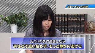 むさしのシティニュース　平成27年6月15日から放送分
