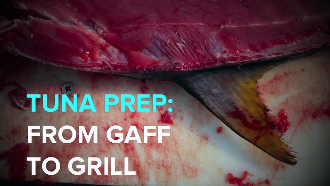 Tuna Prep: From Gaff to Grill