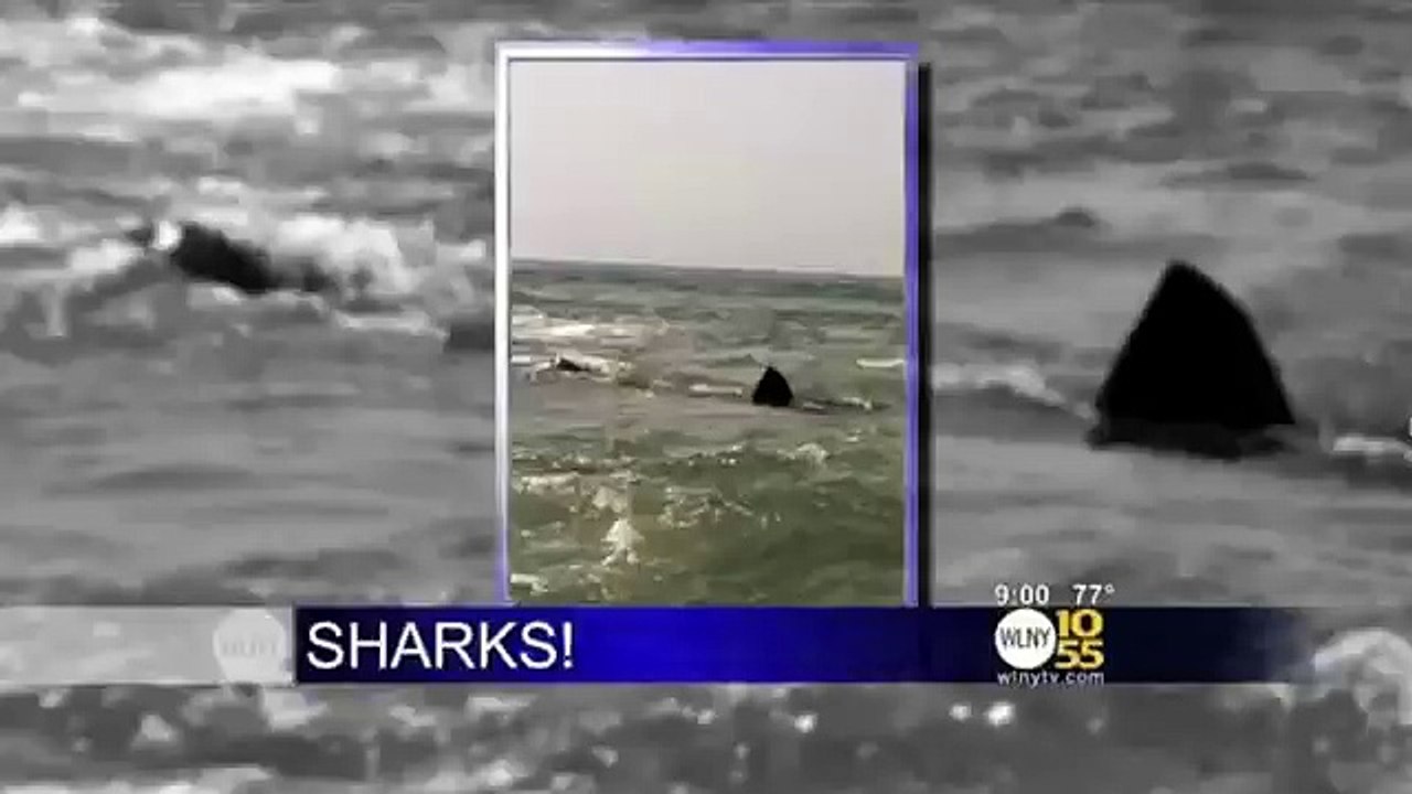 WLNY-TV 10/55 News at 9