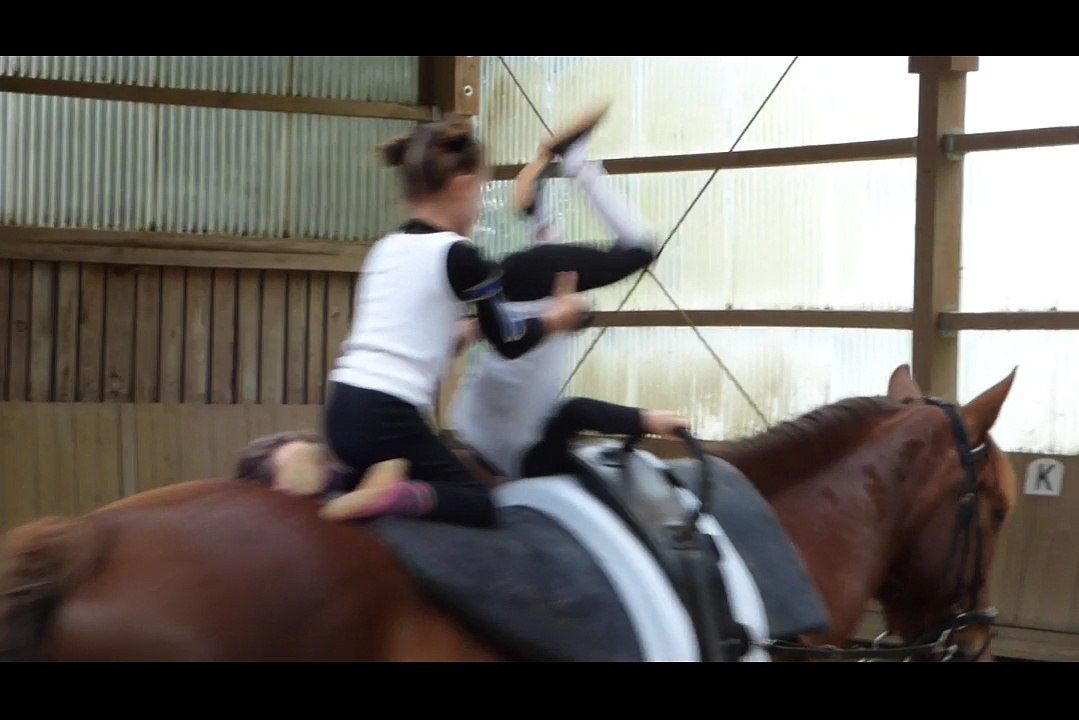 Kür Mauerbach SGM VIII