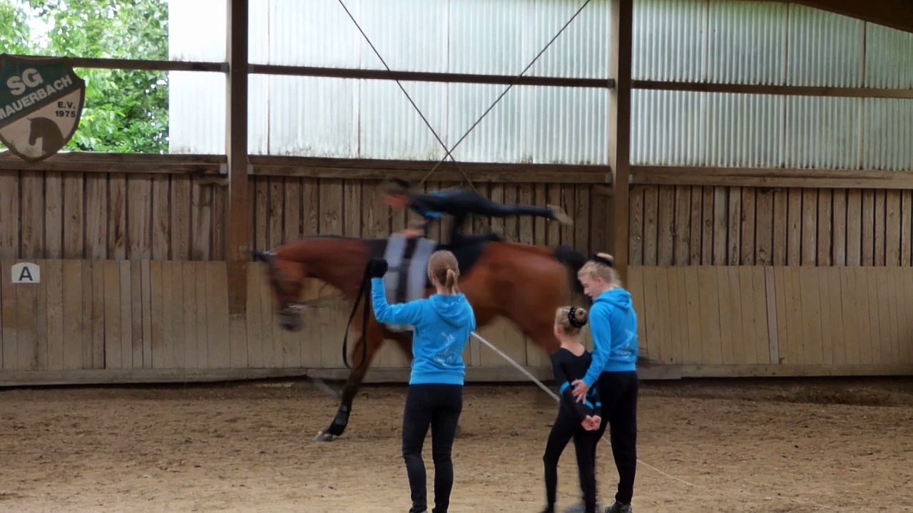 Pflicht und Kür Mauerbach SGM IV