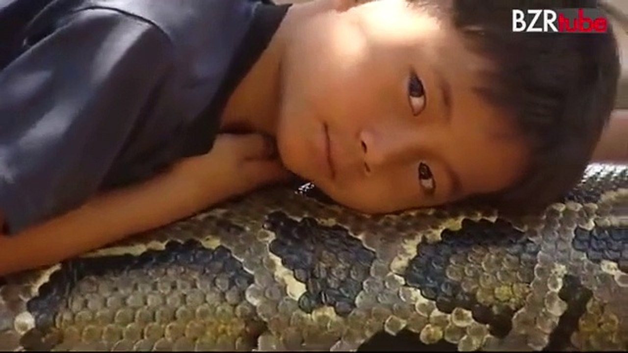 Friendship between Snake and Boy