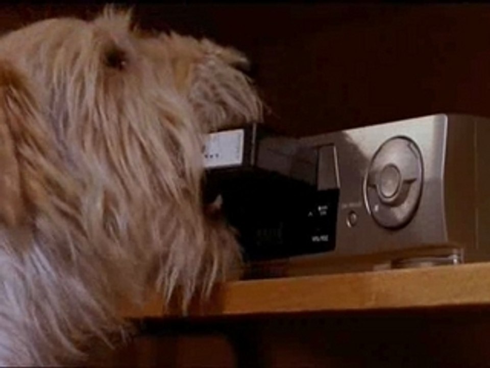 Court-Metrage - Hot Dog (Laurent Baffie)