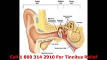 Tinnitus And Vertigo Get Info About Tinnitus And Vertigo Call 1 800 314 2910