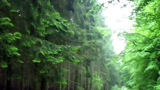 Kurz im Wald Teil 2