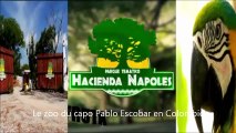Le zoo du capo Pablo Escobar en Colombie