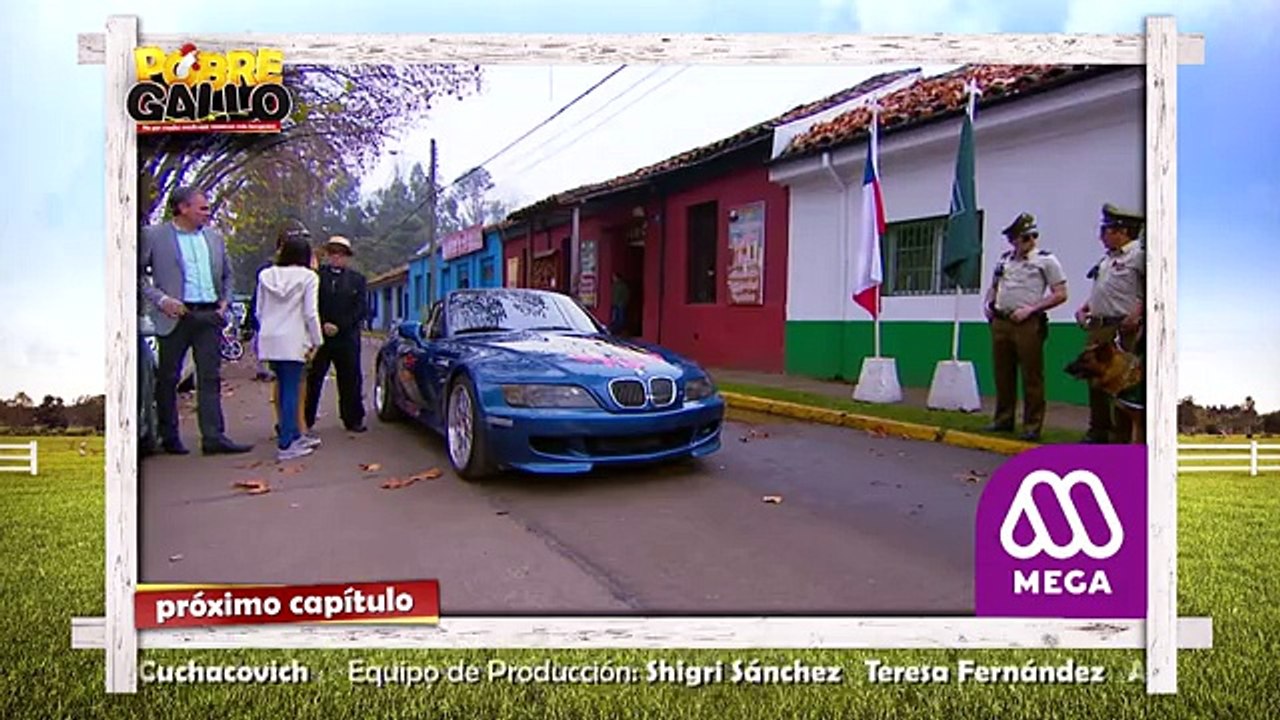 127 Avance Pobre Gallo