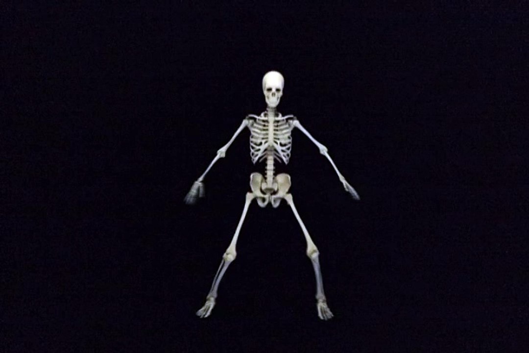 lol dance skele dance