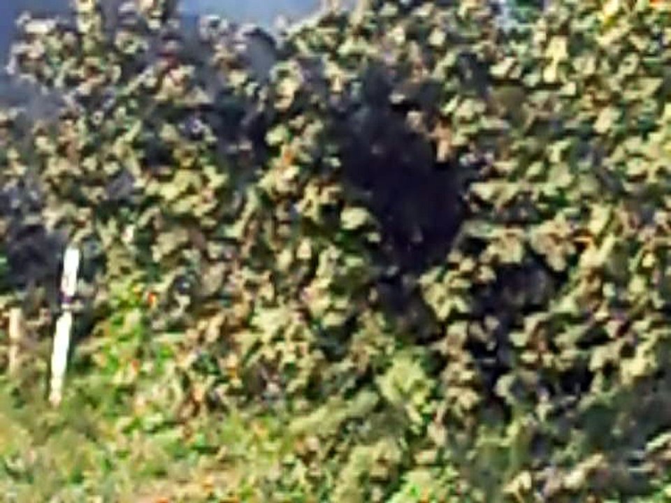 05.07.2016. Köyümüzde Bayram Sabahi (16)