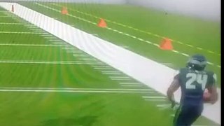 Old shit from Madden 25 running plays