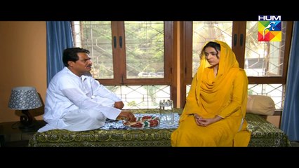 Zara Yaad Kar Episode 17 Full HD Hum TV Drama 5 July 2016