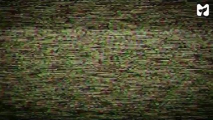 I.O.Iー『会談シティ3』