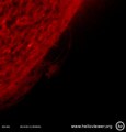 AIA 304 (2016-06-14 05:28:54 - 2016-06-14 16:58:54 UTC)