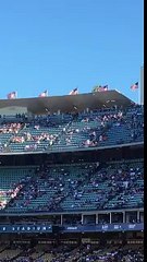 Un Aigle Royal d'Amérique s'échappe en vol d'avant match de Baseball