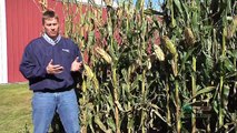 Iron Talk #652-Chopping Corn Stalks (Air Date 10/3/10)