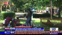 Petugas Ragunan Tambah Personelnya Selama Lebaran