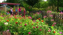 The Morton Arboretum's Children's Garden celebrates 10 years