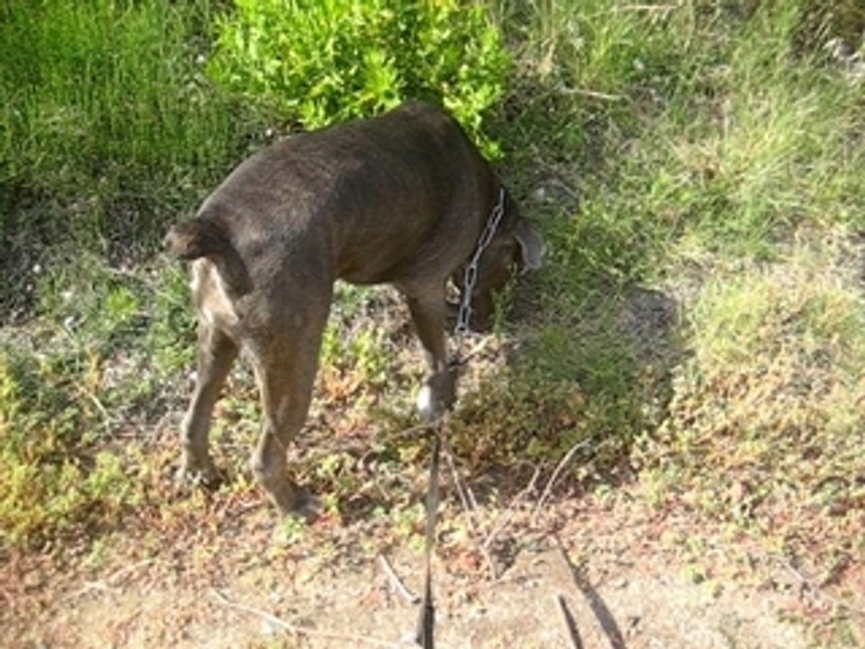 MVI_0207
