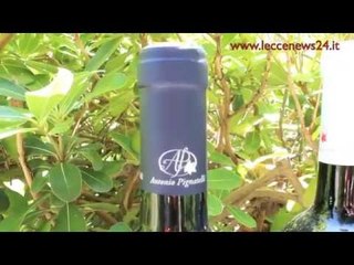 Vini Pignatelli - Leccenews24 -