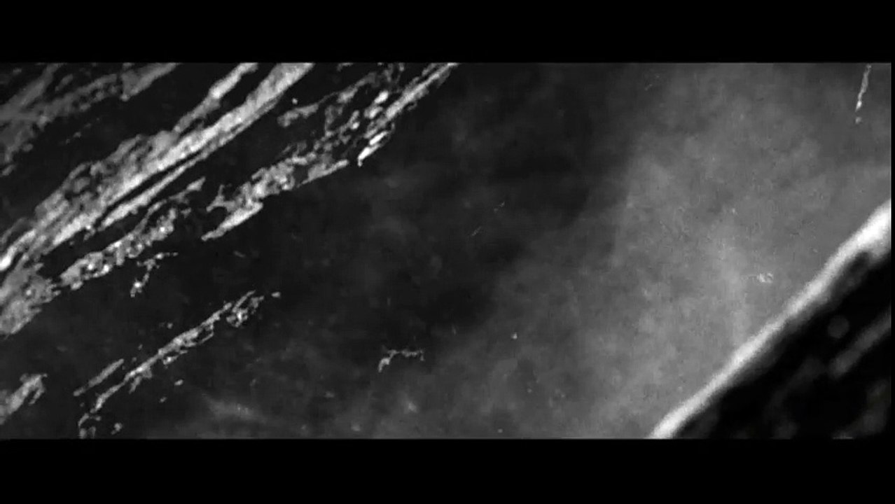"Irminsul", de Jolan Auzeby, Julien Comman, Célia Hanini, Kopsès Laforet, Liza Ven Den Bergh