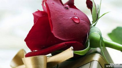 Ehsan Sehgal Prose Poem-I Am Yours