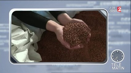 Emploi-On recrute du CAP à Bac +5 dans l’agroalimentaire