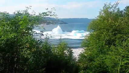 Iceberg scompare nel nulla, IMPRESSIONANTE!