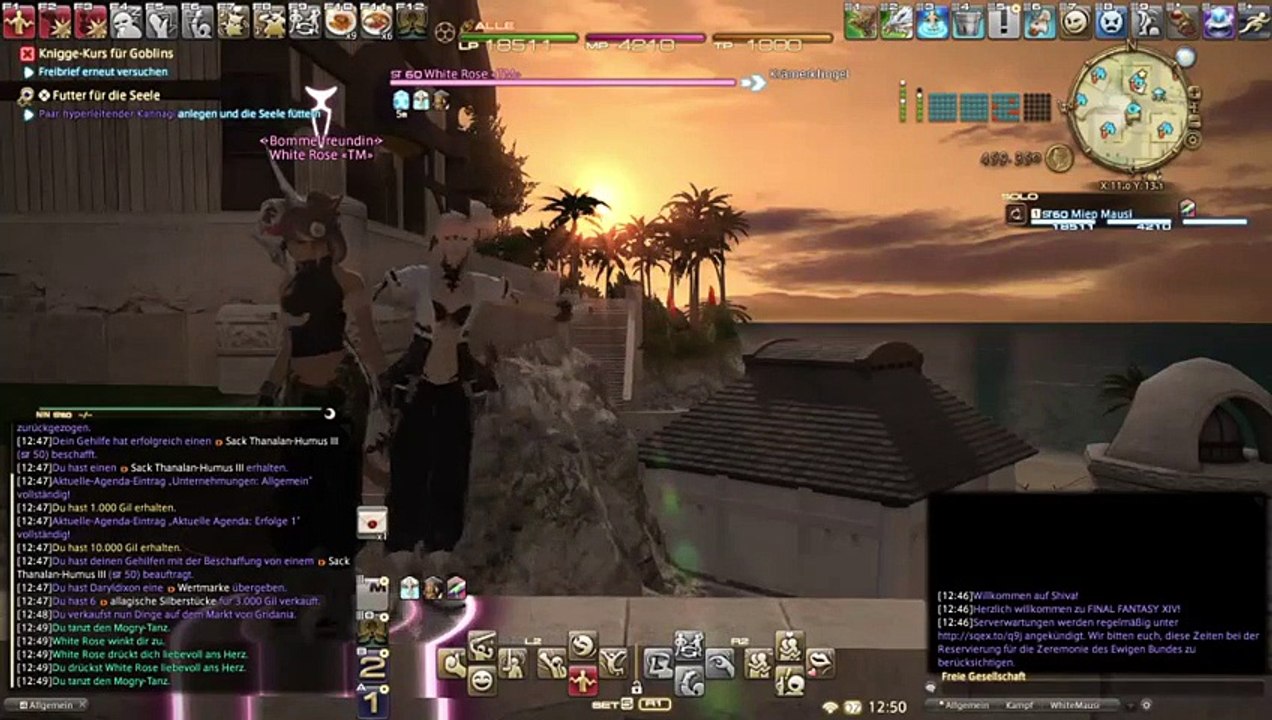 Testvideo 6 FFXIV (5)