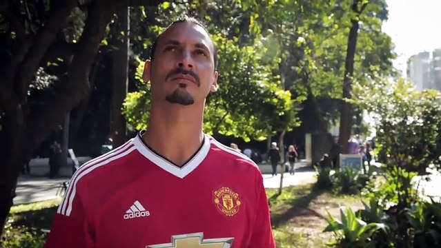 Златан Ибрагимович в реальной жизни