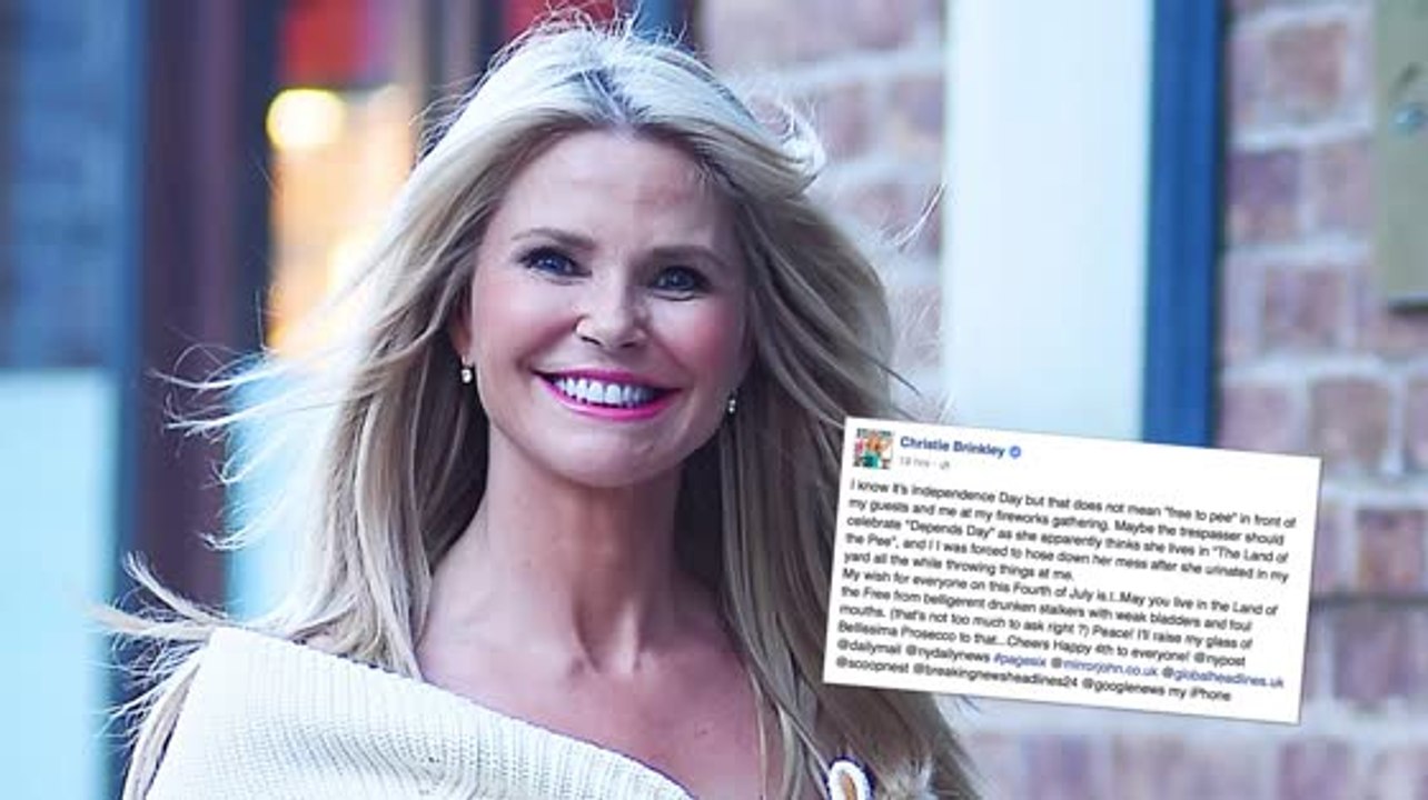 Christie brinkley und der "pinkelvorfall"